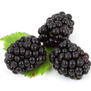 MORES - 125g (Unitat)